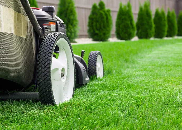 Lawn